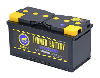 Лот: 20772142. Фото: 1. ТАЗ Standard 100 обр (L5.0) со... Аккумуляторы