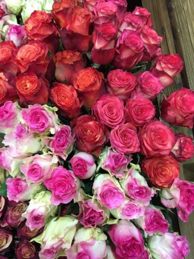 Лот: 11670679. Фото: 1. Розы / Эквадор/ 60см. Свежие цветы