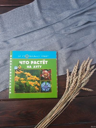 Лот: 14570334. Фото: 1. Книга Я познаю Мир "Что растет... Познавательная литература