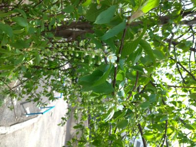 Лот: 15937265. Фото: 1. Участок. Земельные участки
