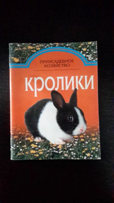 Лот: 9702050. Фото: 1. книга кролики. Домашние животные