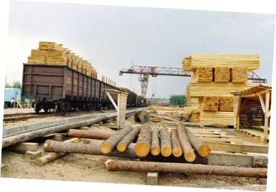 Лот: 4838683. Фото: 1. Готовый бизнес Лес - заготовка... Другое (готовый бизнес)