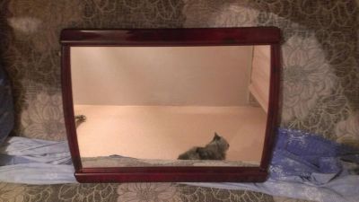 Лот: 6257680. Фото: 1. Зеркало. Зеркала