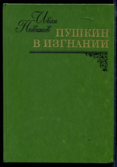 Лот: 23430379. Фото: 1. Пушкин в изгнании. Художественная