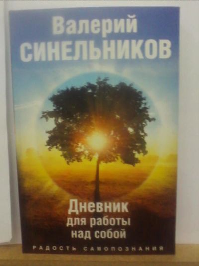 Лот: 10591448. Фото: 1. Валерий Синельников "Дневник для... Религия, оккультизм, эзотерика
