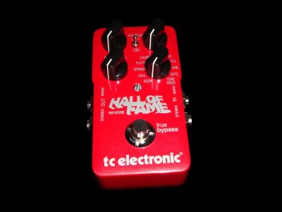 Лот: 1288510. Фото: 1. TC Electronic Hall Of Fame. Гитарные эффекты и комбоусилители