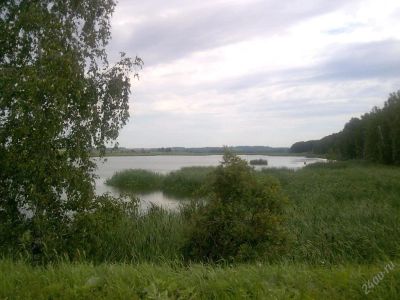 Лот: 36095. Фото: 1. Домик + участок + гараж + квартирка. Дома