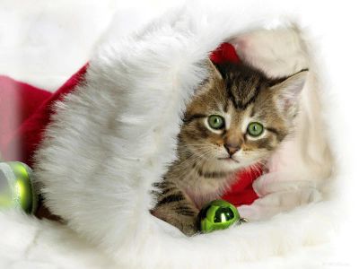 Лот: 4789458. Фото: 1. Новогодние развлечения. Подарки на Новый год