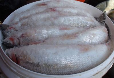 Лот: 8404523. Фото: 1. Омуль Енисейский с/сол. Икра, рыба, морепродукты