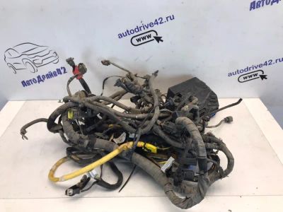 Лот: 21703899. Фото: 1. проводка двс Kia Rio DC. Двигатель и элементы двигателя
