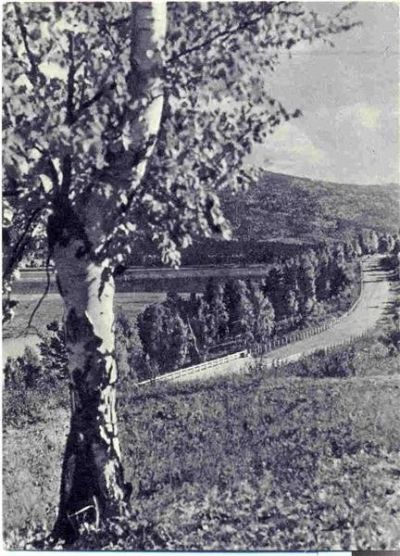 Лот: 1390193. Фото: 1. Открытка. Дорога на Улан-Удэ... Открытки, конверты