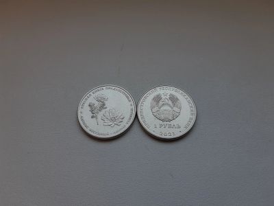 Лот: 19876764. Фото: 1. Приднестровье 1 рубль 2021 " Красная... Европа