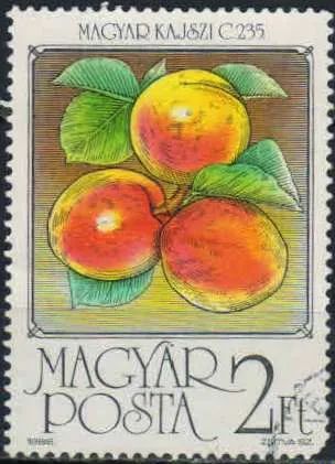 Лот: 21440365. Фото: 1. 1986. Венгрия. Фрукты. н.с... Марки
