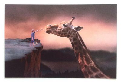Лот: 9319434. Фото: 1. Мальчик кормящий жирафа. Фотоарт... Открытки, конверты
