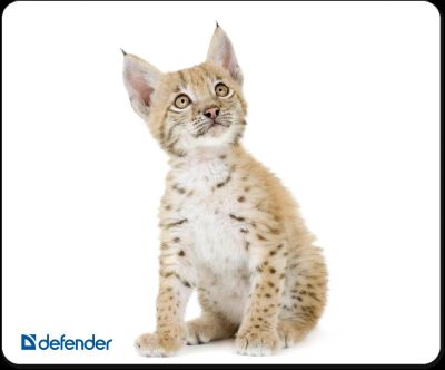 Лот: 5535827. Фото: 1. Коврик Defender для мыши, шелковый... Коврики