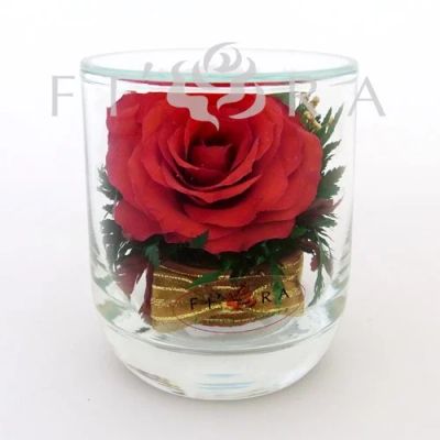 Лот: 11027811. Фото: 1. Роза в стакане. Свежие цветы