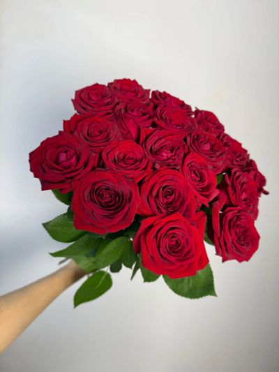 Лот: 25554494. Фото: 1. Букет из 19 красных роз быстрые... Свежие цветы