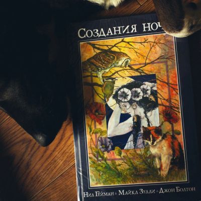Лот: 11500295. Фото: 1. Нил Гейман. Создания ночи. Художественная