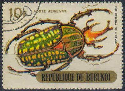Лот: 25125828. Фото: 1. 1970. Бурунди. Авиапочта - Жуки... Марки