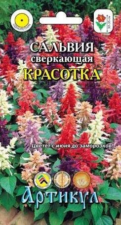 Лот: 11025494. Фото: 1. Сальвия сверк.Красотка 10 шт... Садовые цветы