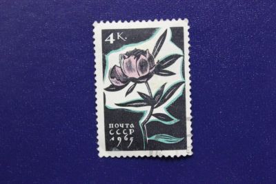 Лот: 7359202. Фото: 1. Почтовая марка №4815 в коллекцию. Марки