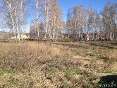 Лот: 3959273. Фото: 1. Земельный участок. Черемшанка. Земельные участки