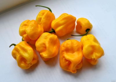 Лот: 11520005. Фото: 1. Семена Trinidad Moruga Scorpion... Другое (семена, рассада, садовые растения)