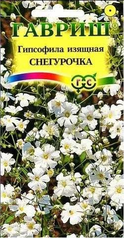 Лот: 11024297. Фото: 1. Гипсофила изящная Снегурочка 0... Садовые цветы
