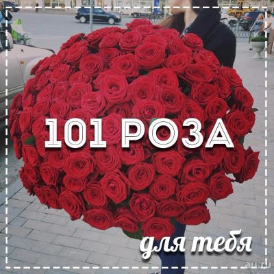 Лот: 13297731. Фото: 1. Аренда букета для селфи 101 роза. Свежие цветы