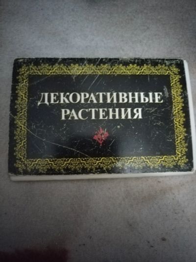Лот: 21094114. Фото: 1. Набор открыток Декоративные растения. Открытки, конверты