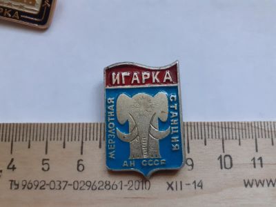 Лот: 17983050. Фото: 1. ( № 10225 ) значки Игарка Мерзлотная... Сувенирные