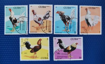Лот: 21423262. Фото: 1. Марки. Куба. 1981. Птицы, курицы... Марки