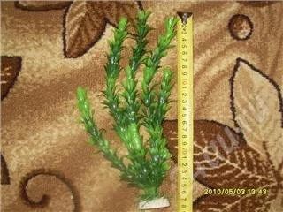Лот: 343120. Фото: 1. водоросль искуственная 30 см. Водные растения