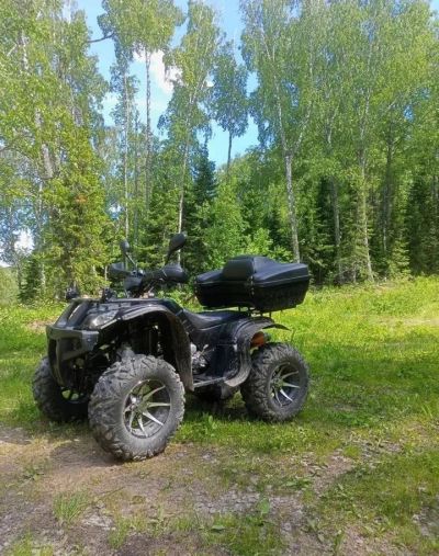 Лот: 25362415. Фото: 1. Квадроцикл GRIZZLY 250 Б/У. Снегоходы, квадроциклы
