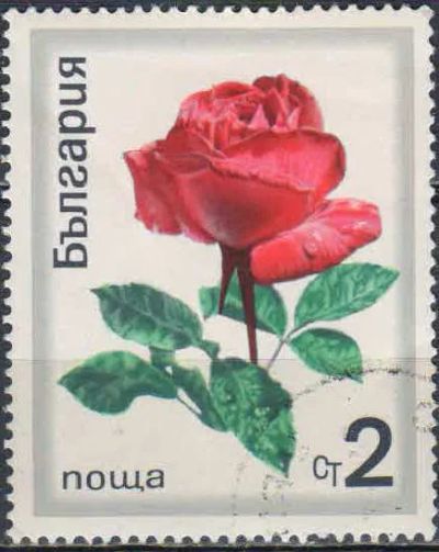 Лот: 25003549. Фото: 1. 1970. Болгария. Розы. н.с. № 2002. Марки