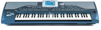 Лот: 9069844. Фото: 1. Korg PA-800. Клавишные
