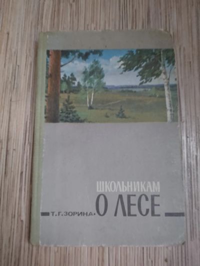 Лот: 25742588. Фото: 1. Зорина Школьникам о лесе 1971. Познавательная литература