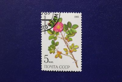 Лот: 6849521. Фото: 1. Почтовая марка №4006 в коллекцию. Марки