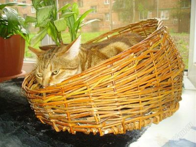Лот: 1132326. Фото: 1. кошкин дом. Домики, переноски, клетки, когтеточки
