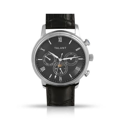 Лот: 23827829. Фото: 1. Мужские часы TALANT 180.1.02.02... Оригинальные наручные часы