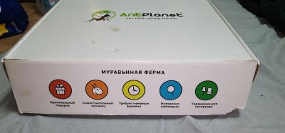 Лот: 25849336. Фото: 1. Муравьиная ферма (без обитатилей... Аквариумы, террариумы