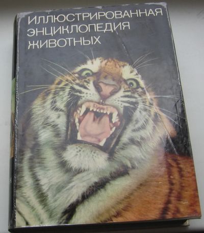 Лот: 18993873. Фото: 1. Станек В.Я. Иллюстрированная энциклопедия... Книги