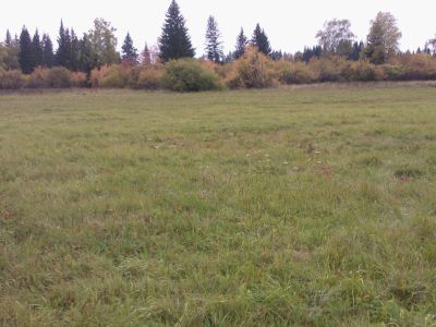 Лот: 5491318. Фото: 1. участок д. Крутая 15 соток. Земельные участки