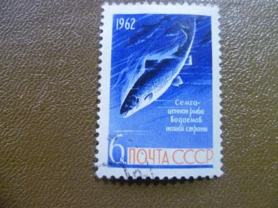 Лот: 3746835. Фото: 1. 1962,август.Рыбы.Сёмга. Марки