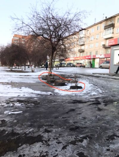 Лот: 20346701. Фото: 1. Нужно демонтировать. Всё для ландшафта