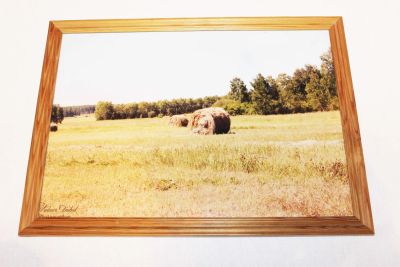 Лот: 8484880. Фото: 1. Фотокартина А4. Произведения