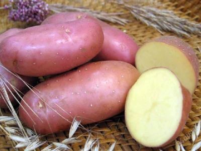 Лот: 878952. Фото: 1. продам дешего вкусную картошку... Картофель