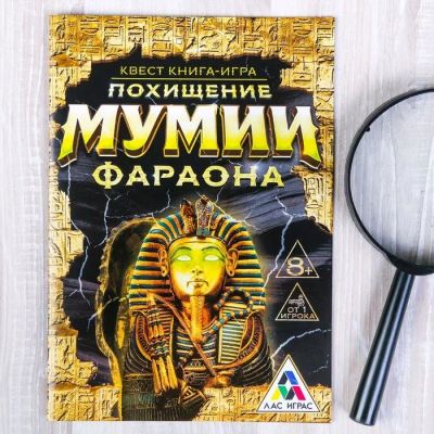 Лот: 12704944. Фото: 1. Квест игра книга «Похищение мумии... Досуг и творчество