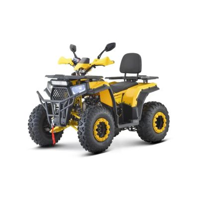 Лот: 24618892. Фото: 1. Квадроцикл FXMOTO WASP 200. Снегоходы, квадроциклы