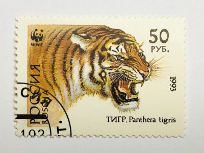 Лот: 23316410. Фото: 1. Животные. Всемирный фонд дикой... Марки